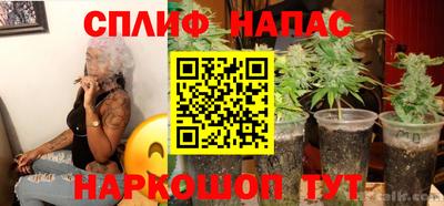 мдпв Гатчина