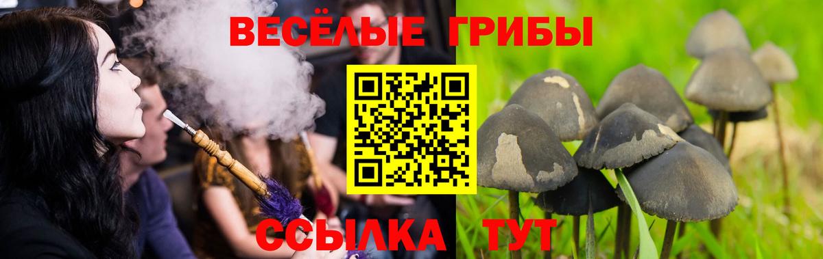 Галлюциногенные грибы ЛСД  Псилоцибиновые грибы прущие грибы  Вход с VPN  Ирбит 